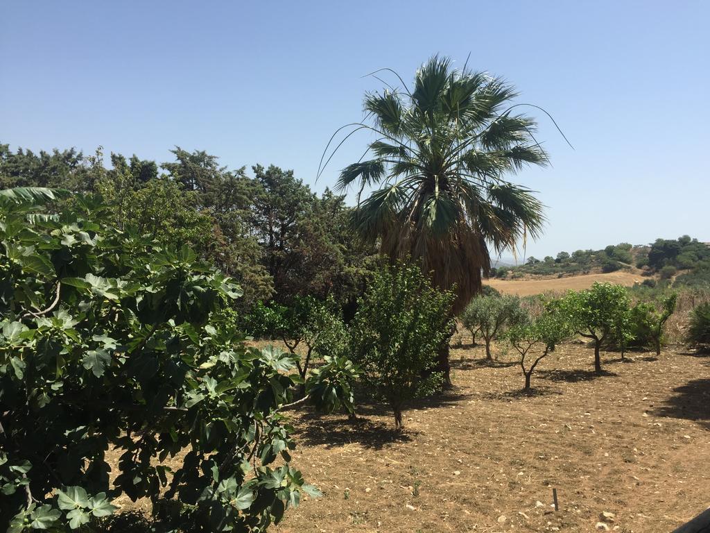 הוילה ולדריצ'ה Casa Caronia מראה חיצוני תמונה
